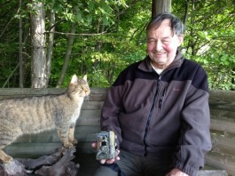 -Der Wildkatzen-Experte Dr. Franz Müller berichtet, dass das Raubtier die Rhön flächendeckend zurückerobert hat und der Bestand kontinuierlich steigt.