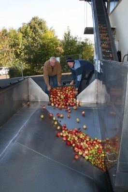 Rund 3 Wochen früher als normal treffen die ersten Äpfel in der Kelterei ELM ein...