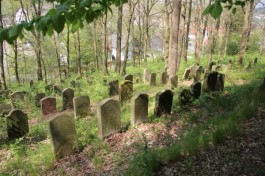 Jüdischer-Friedhof-Burghaun-klein2